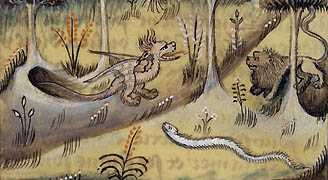 dragon in medieval illumination